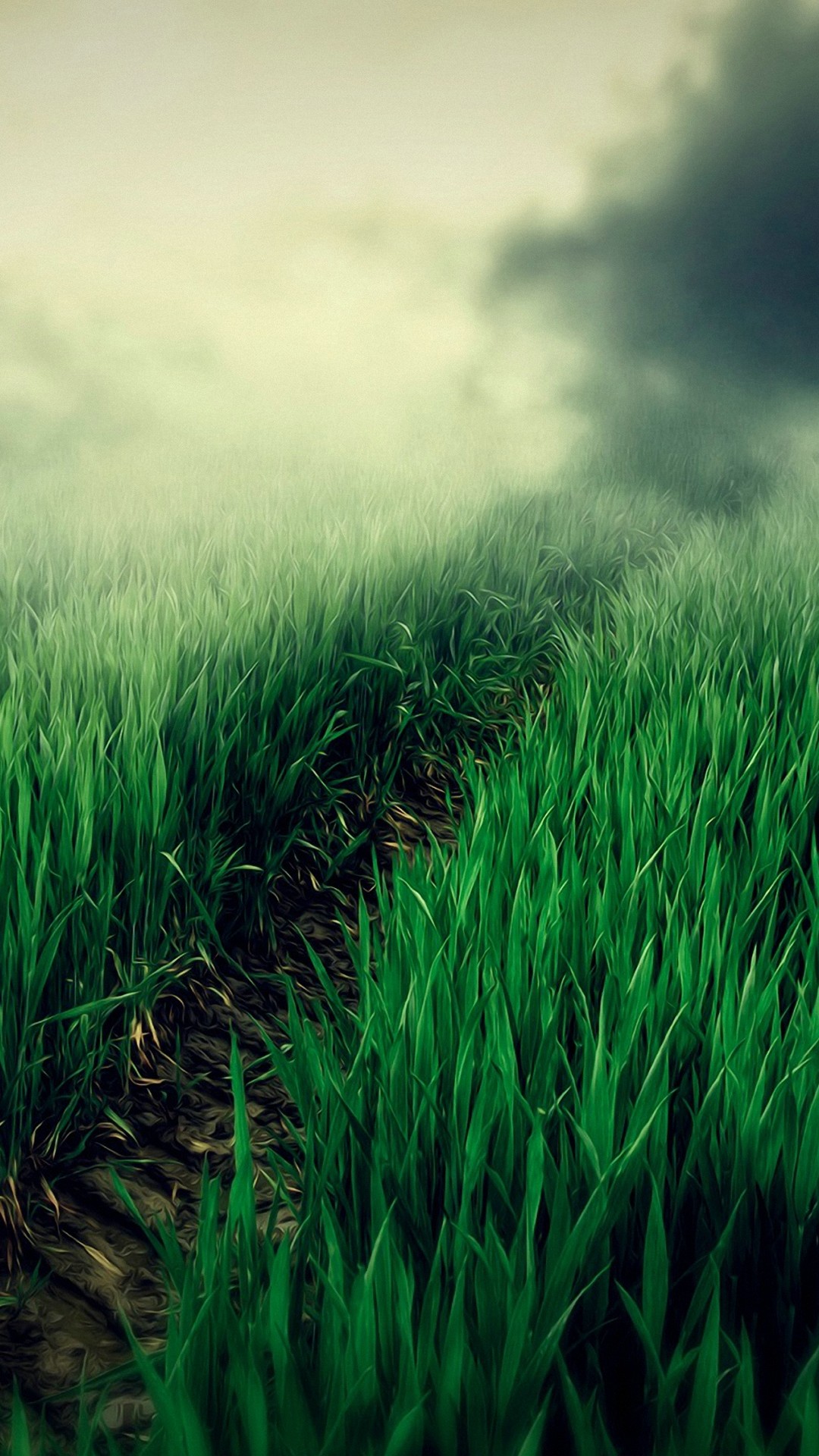 Android Wallpaper HD Grass with HD resolution 1080x1920