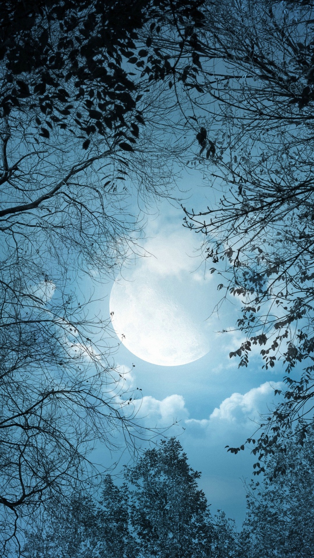 Android Wallpaper Moon Night with HD resolution 1080x1920