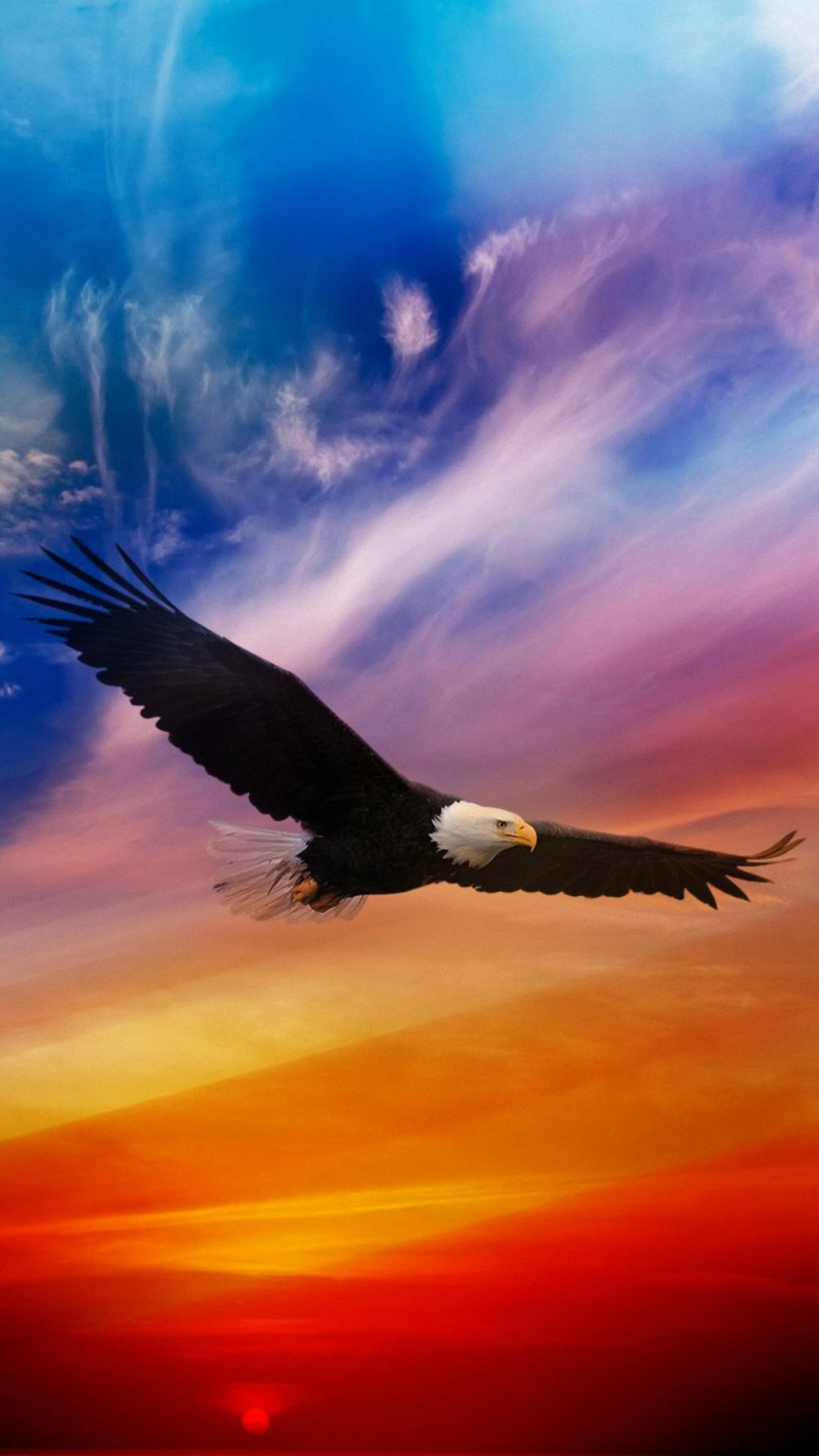 Eagle Android Wallpaper HD with HD resolution 1080x1920