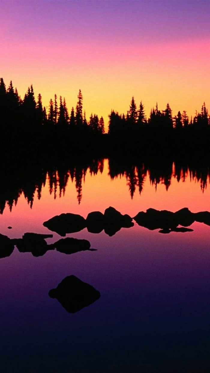 Android Wallpaper Dimensions 2024 Android Wallpapers