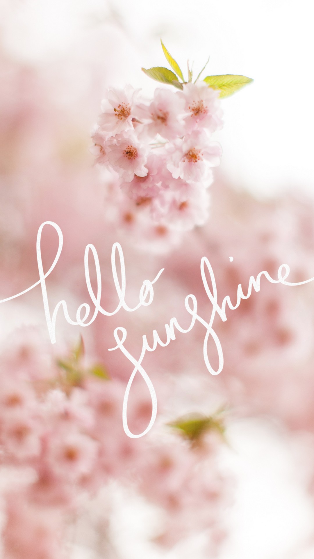 Cute Spring HD Wallpapers For Android with HD resolution 1080x1920