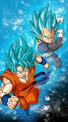 Goku SSJ Blue HD Wallpapers For Android High Resolution 1080X1920