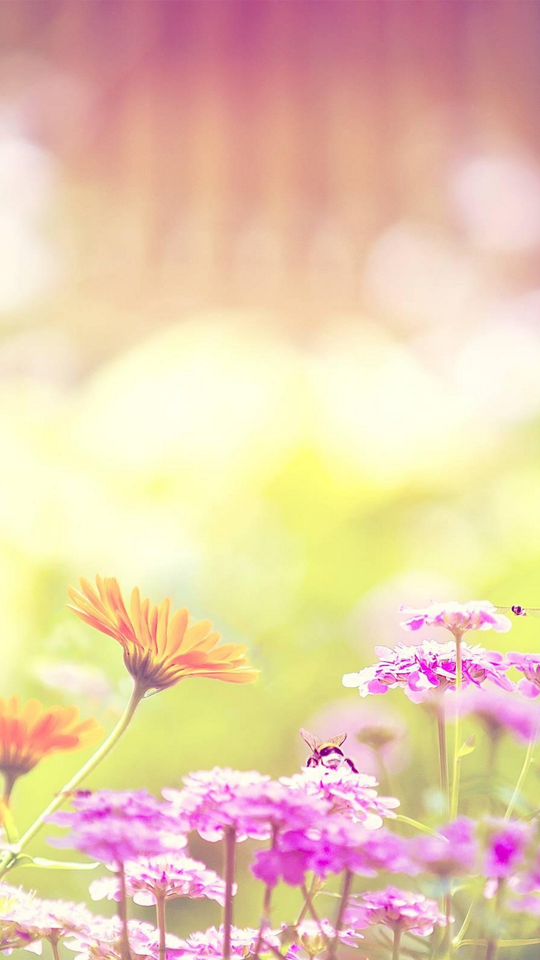 Hello Spring Wallpaper For Android with HD resolution 1080x1920