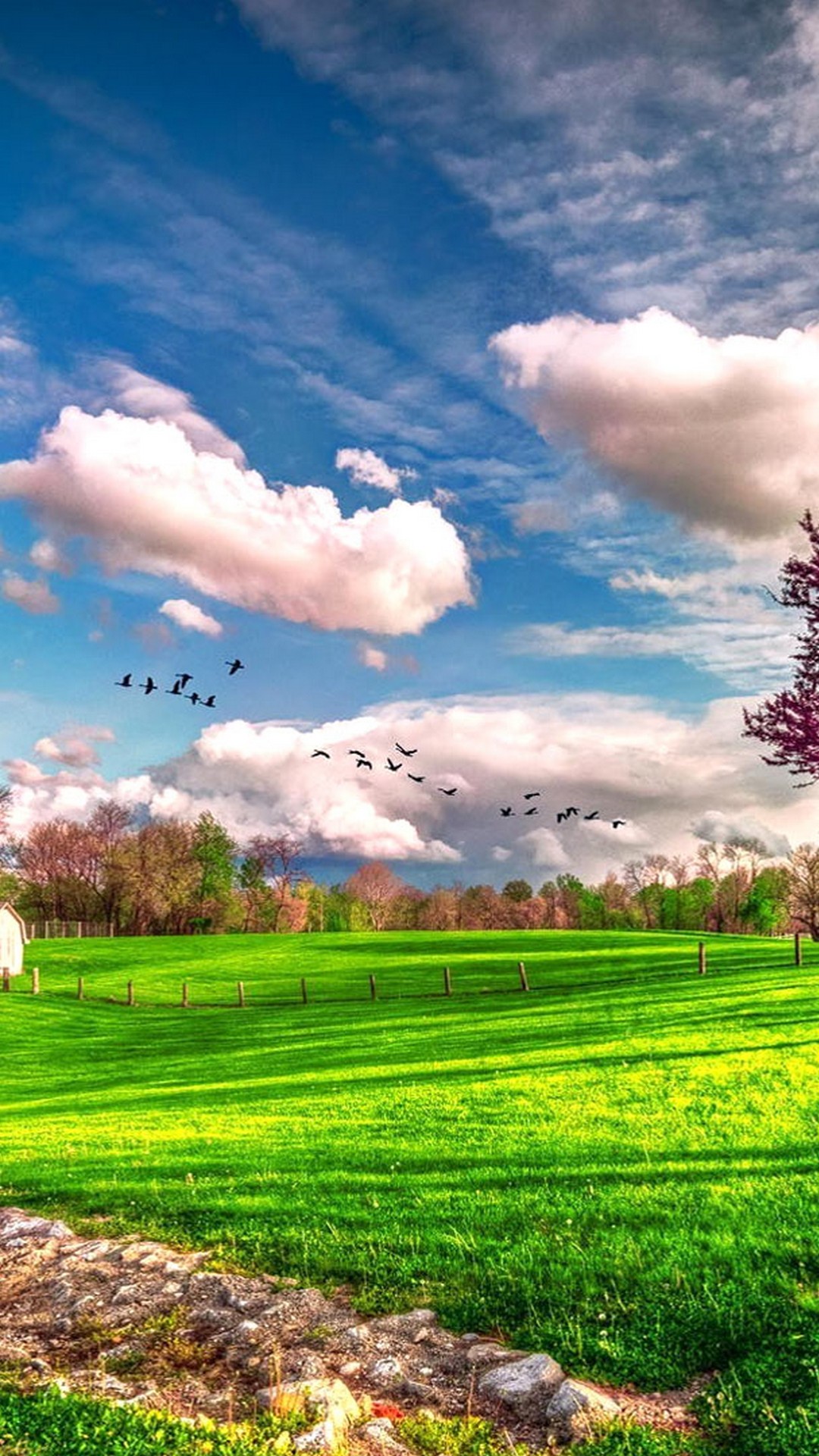 Spring Nature Backgrounds For Android with HD resolution 1080x1920