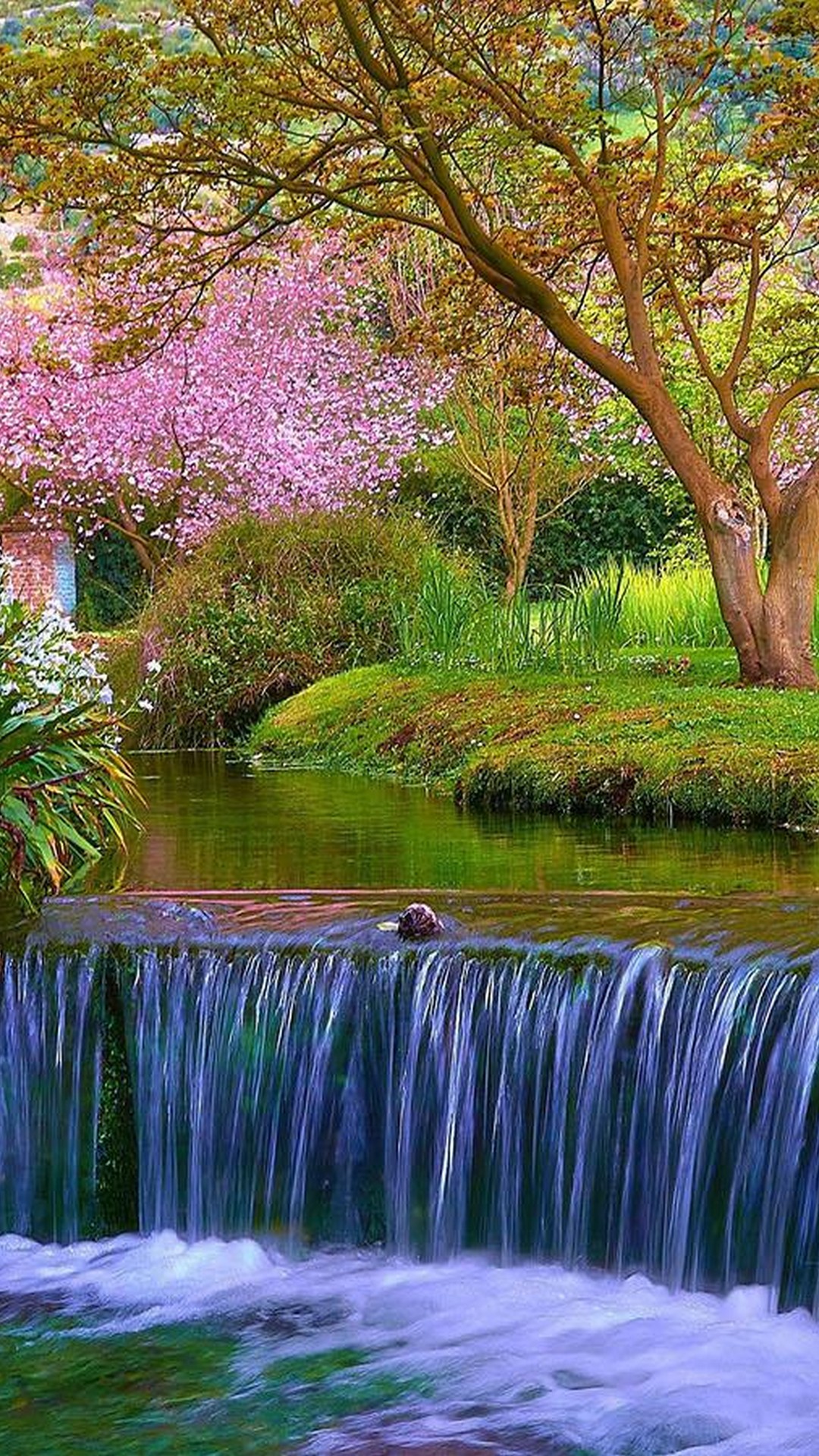 Spring Nature Wallpaper For Android - 2021 Android Wallpapers