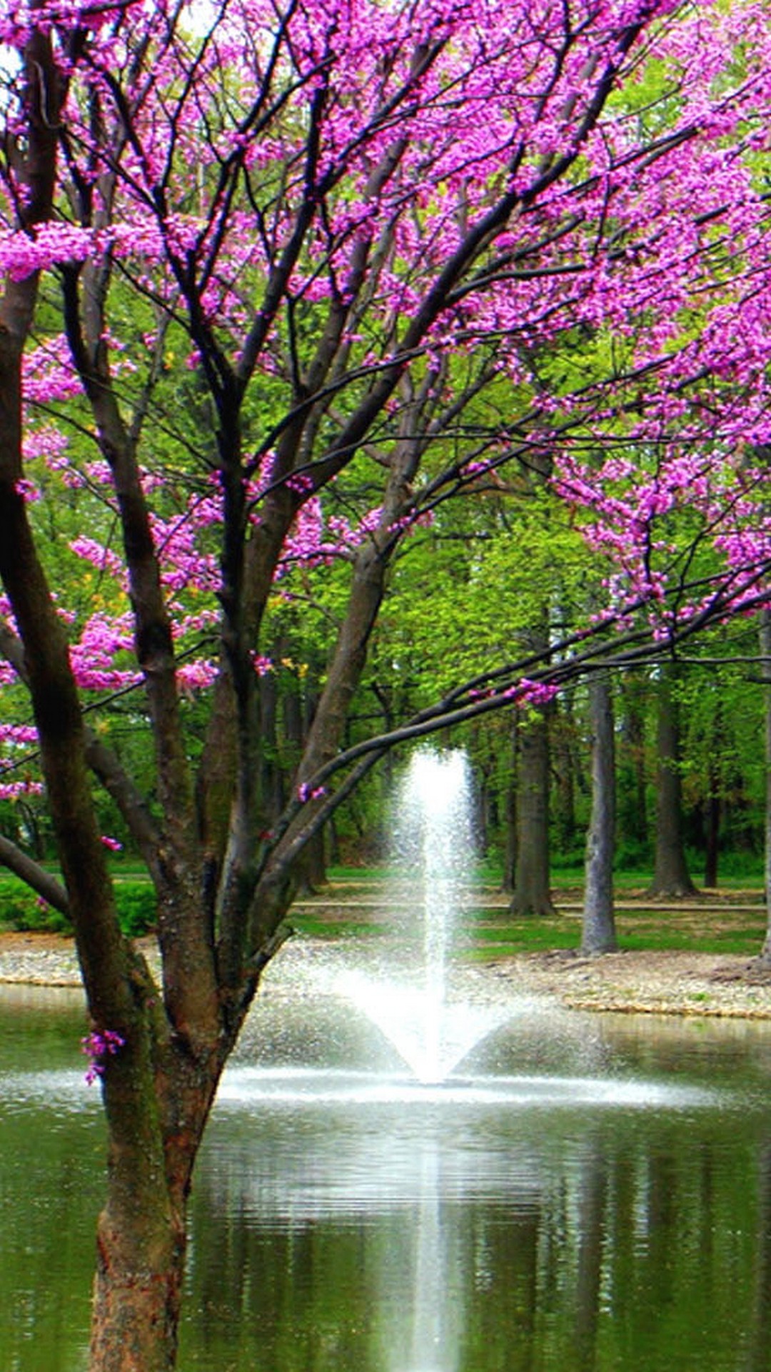 Wallpaper Android Spring Nature with HD resolution 1080x1920