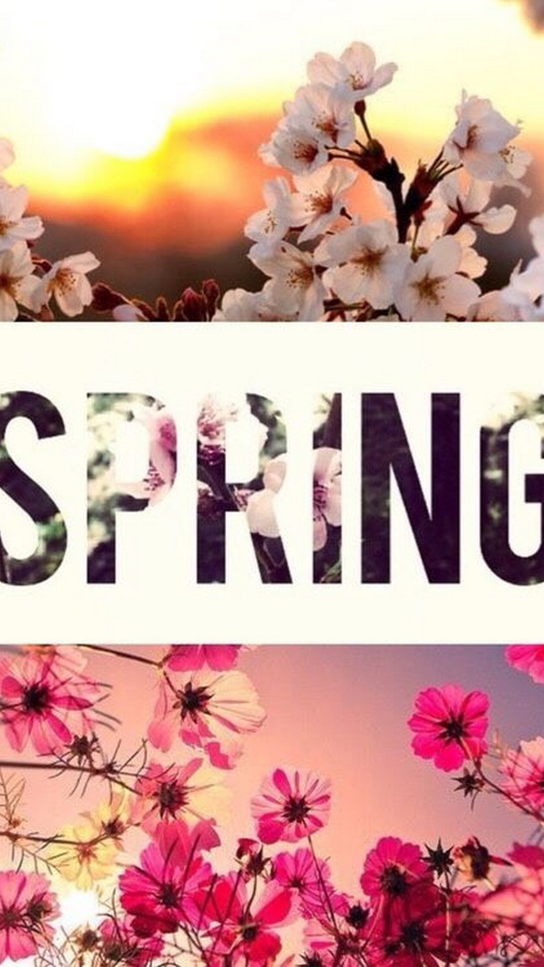 Wallpaper Hello Spring Android - 2021 Android Wallpapers