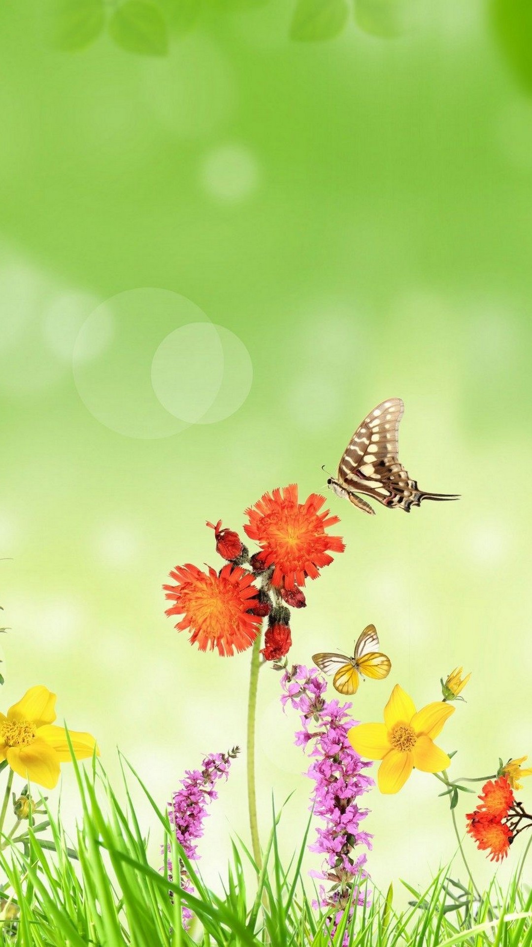 Android Wallpaper Cute Butterfly with HD resolution 1080x1920