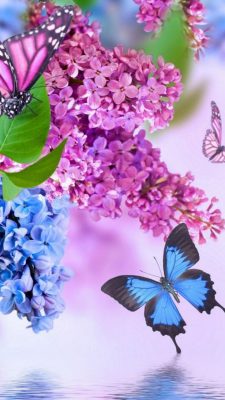 Lock Screen Aesthetic Butterfly Wallpaper Purple