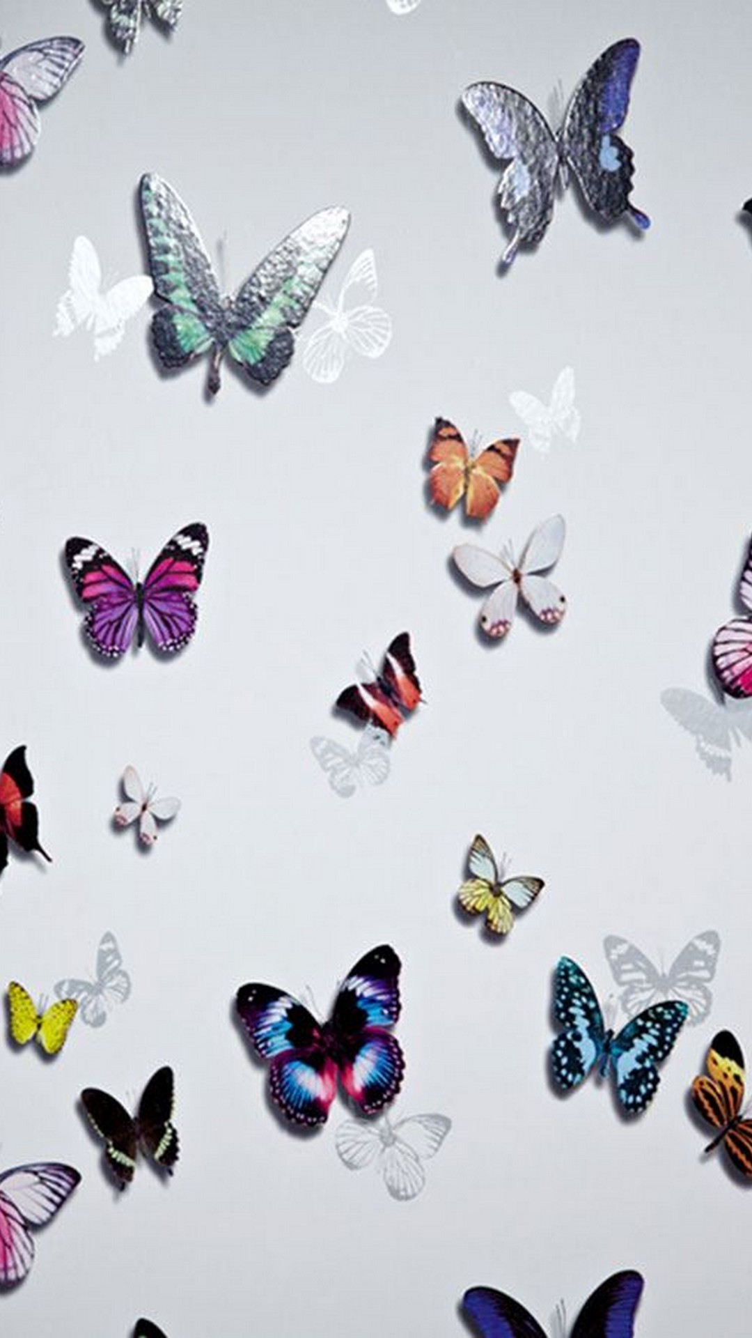 Butterfly HD Wallpapers For Android with HD resolution 1080x1920