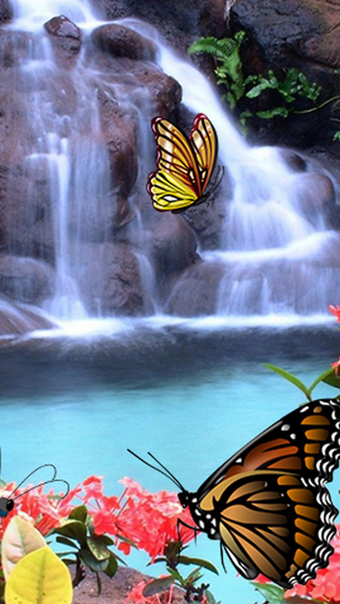 Butterfly Pictures Backgrounds For Android with HD resolution 1080x1920