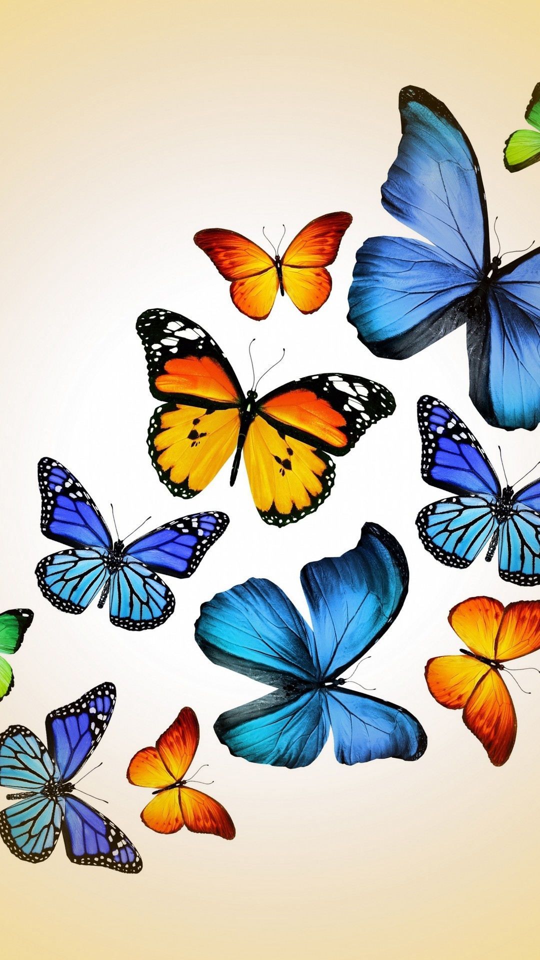 Cute Butterfly Android Wallpaper with HD resolution 1080x1920