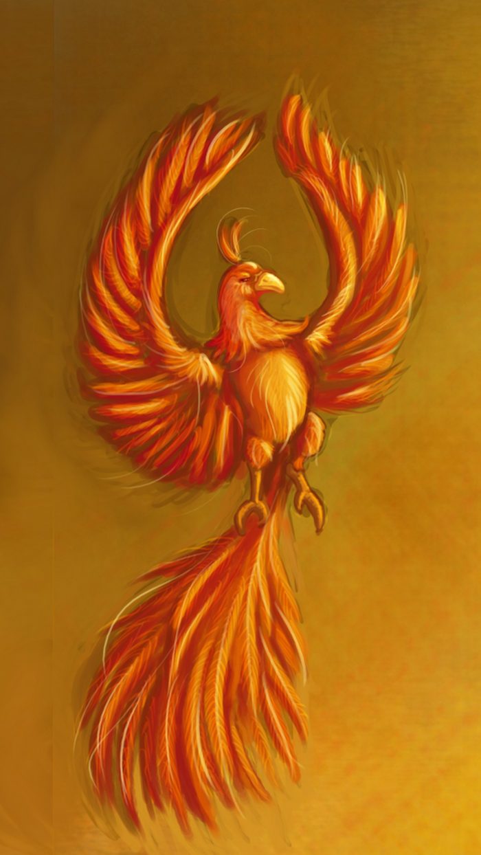 Phoenix Bird Android Wallpaper - 2022 Android Wallpapers