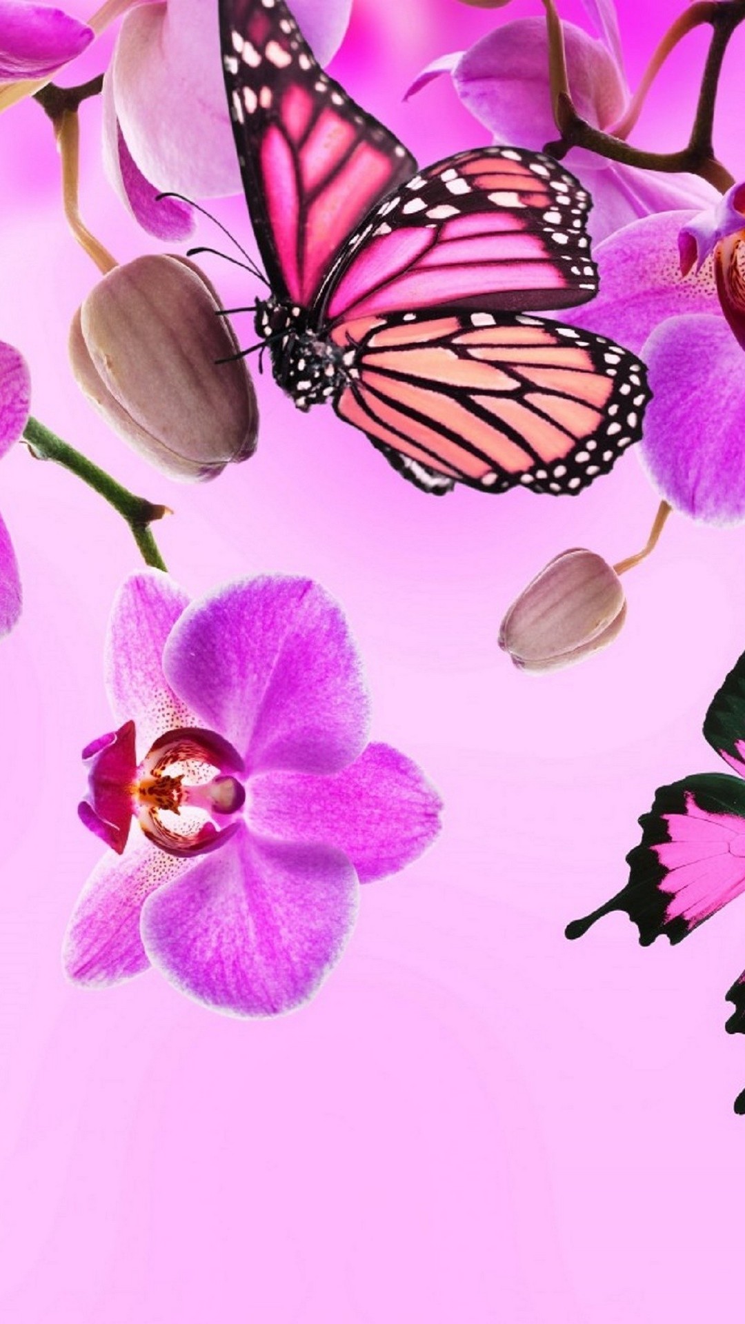 Pink Butterfly Wallpaper Android with HD resolution 1080x1920