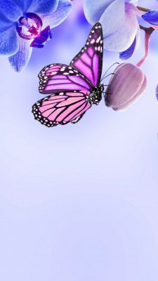 Purple Butterfly Android Wallpaper High Resolution 1080X1920