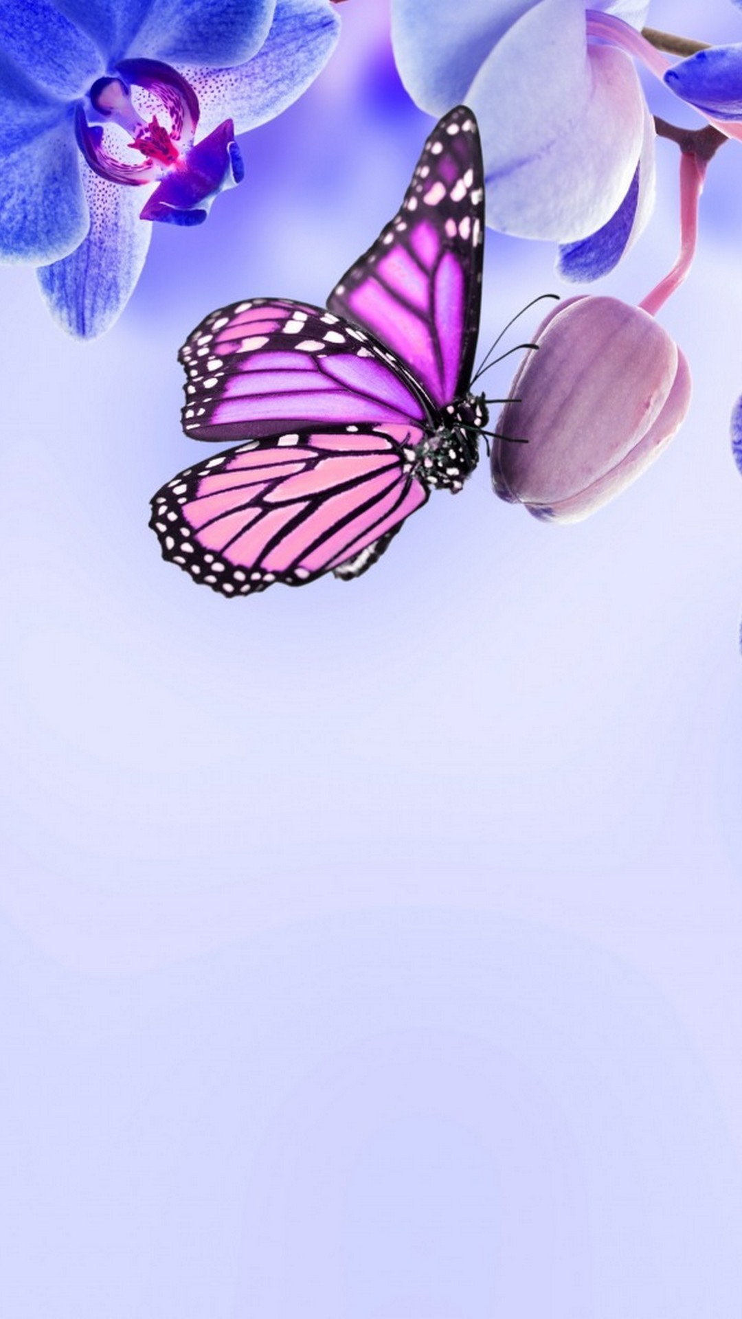 Purple Butterfly Android Wallpaper with HD resolution 1080x1920