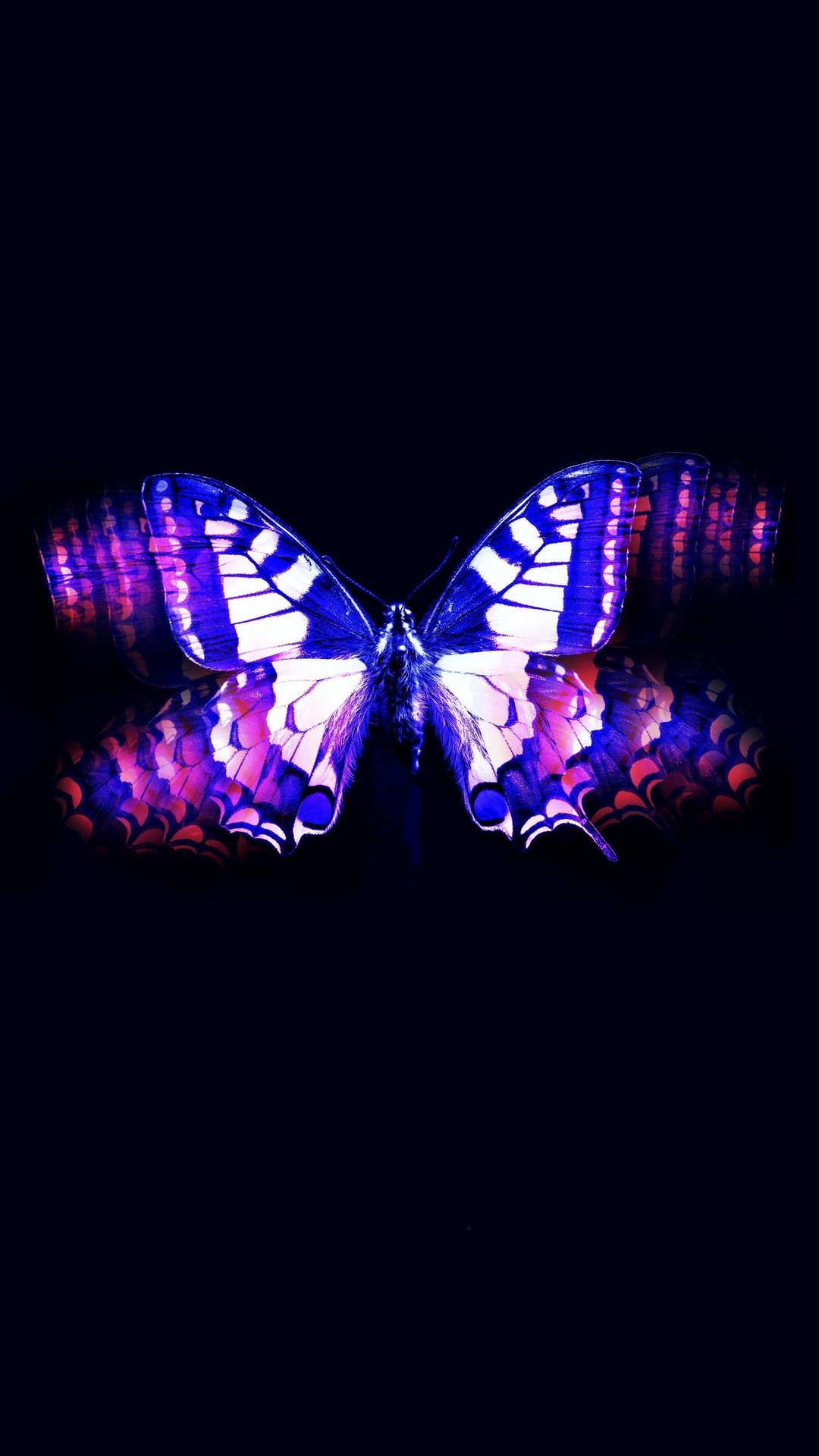 Wallpaper Android Blue Butterfly High Resolution 1080X1920