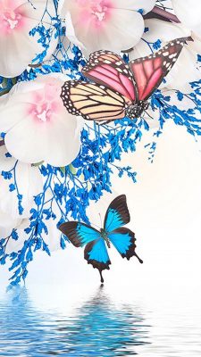 Wallpaper Butterfly Android High Resolution 1080X1920