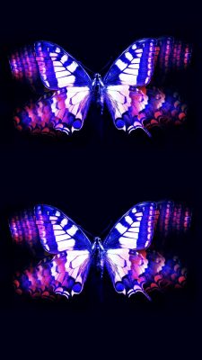 Wallpapers Phone Purple Butterfly High Resolution 1080X1920