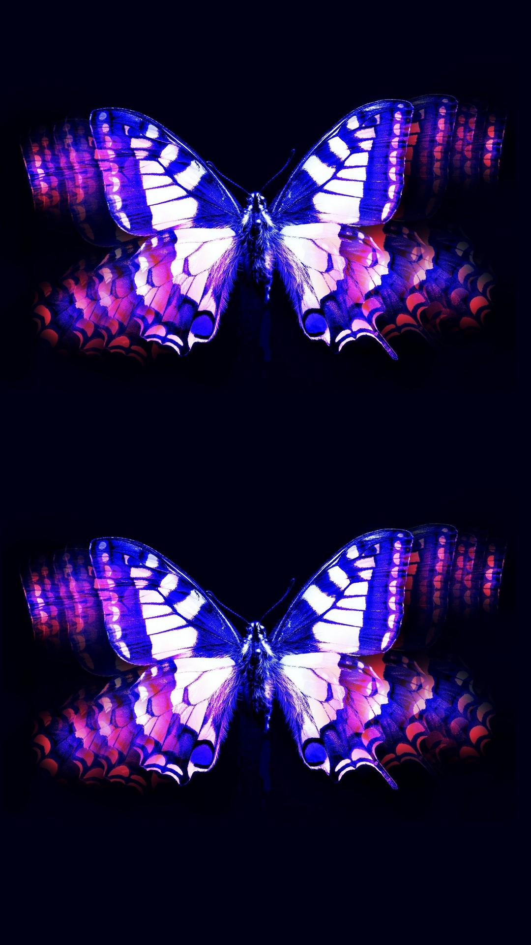 Wallpapers Phone Purple Butterfly with HD resolution 1080x1920