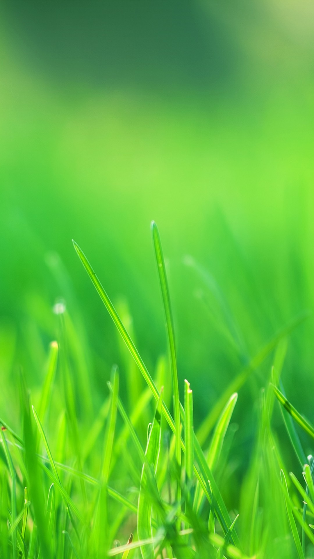 Full Hd Green Wallpapers For Mobile