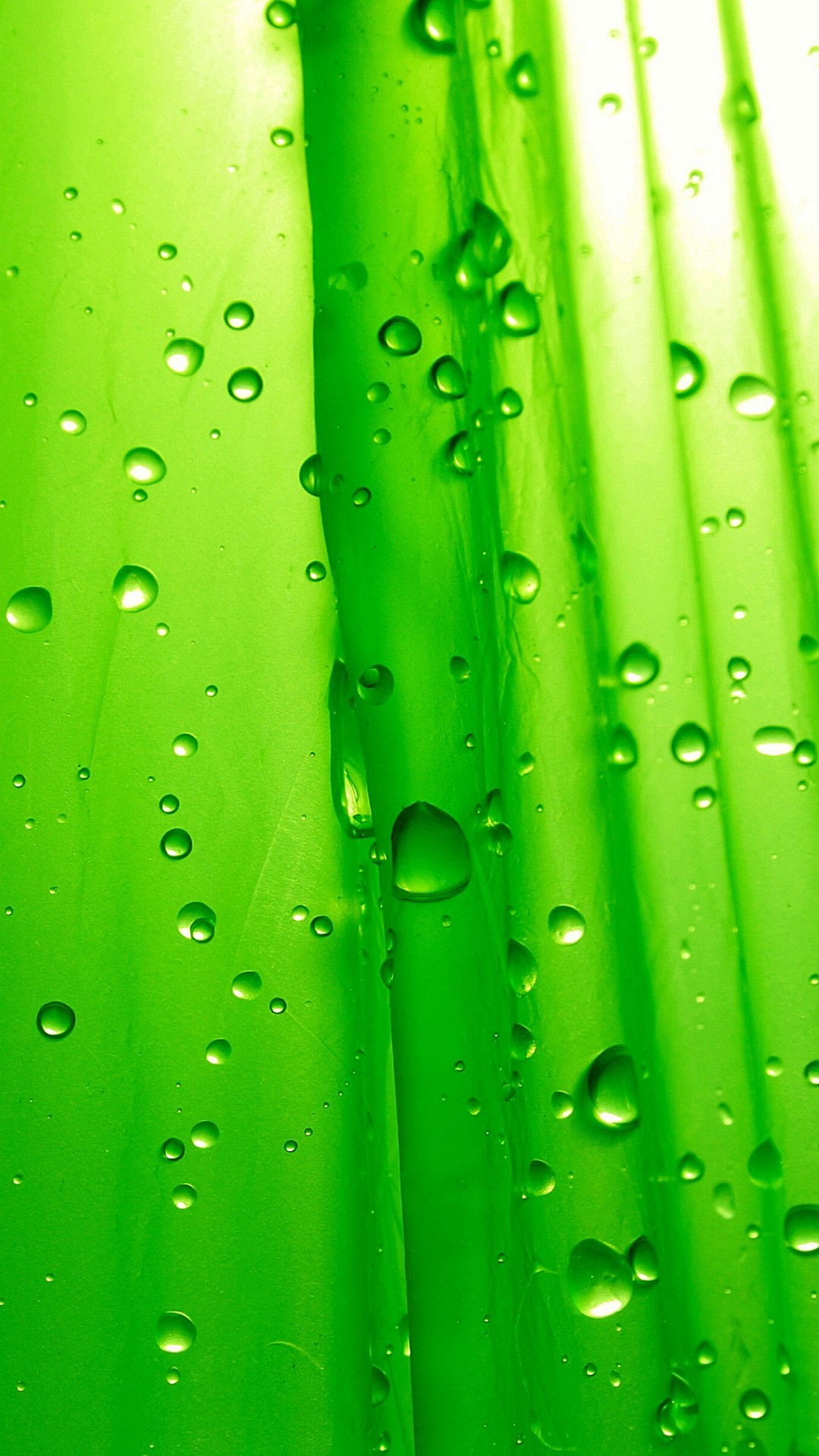 Neon Green HD Wallpapers For Android with image resolution 1080x1920 pixel. You can make this wallpaper for your Android backgrounds, Tablet, Smartphones Screensavers and Mobile Phone Lock Screen