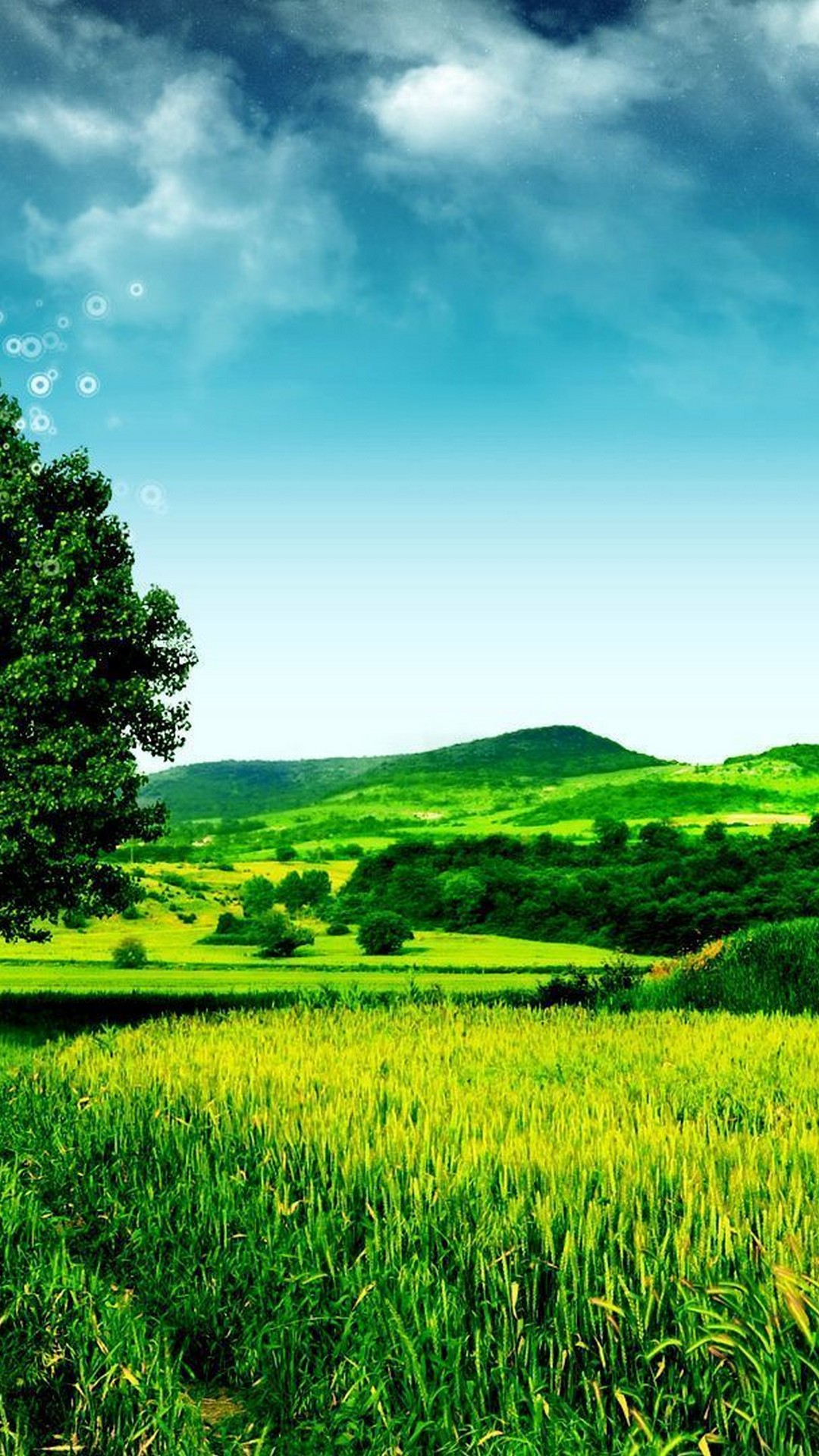 Wallpaper Android Nature Green - 2021 Android Wallpapers