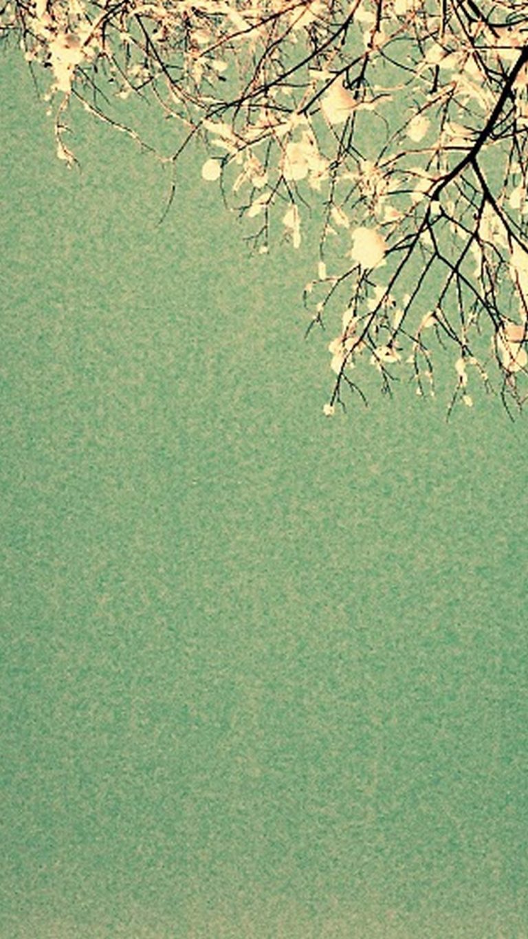 Android Wallpaper HD Green Colour 2022 Android Wallpapers