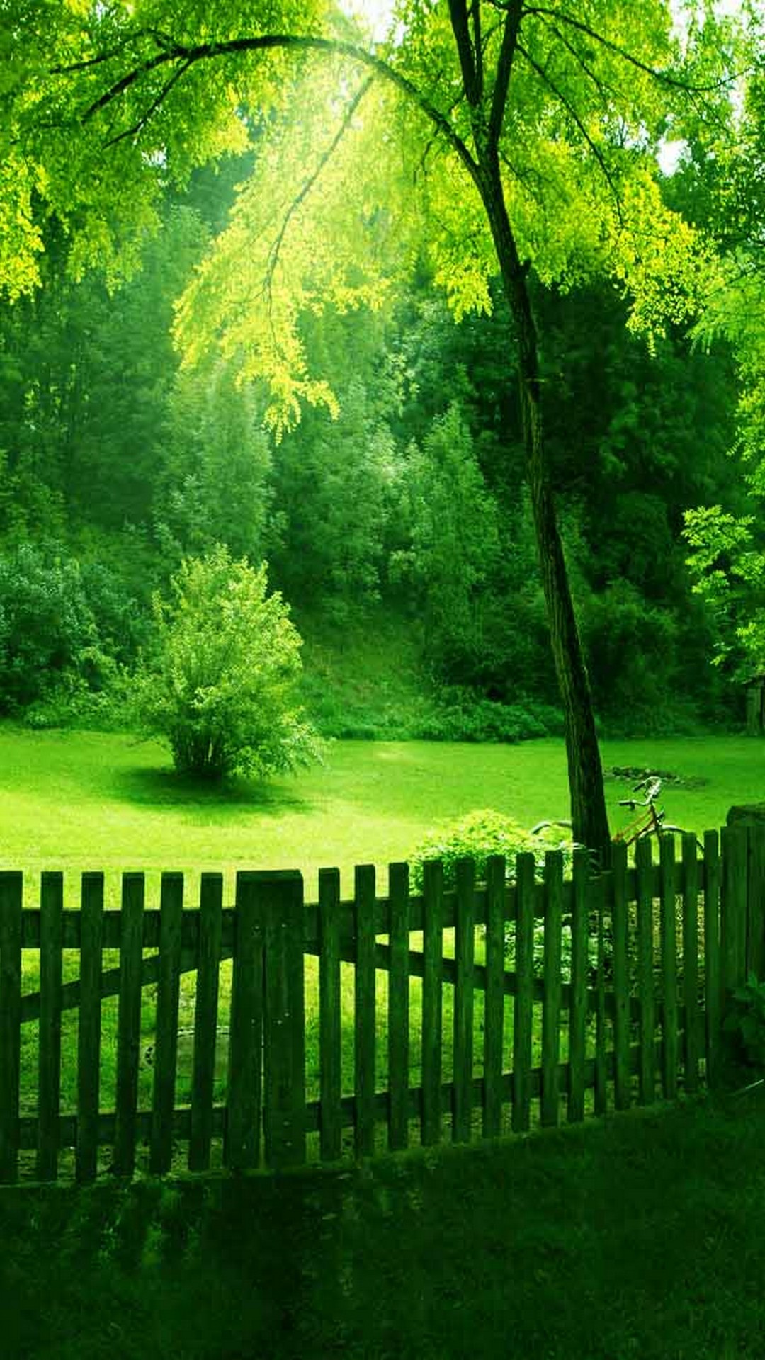 Green Nature Wallpaper Hd For Mobile