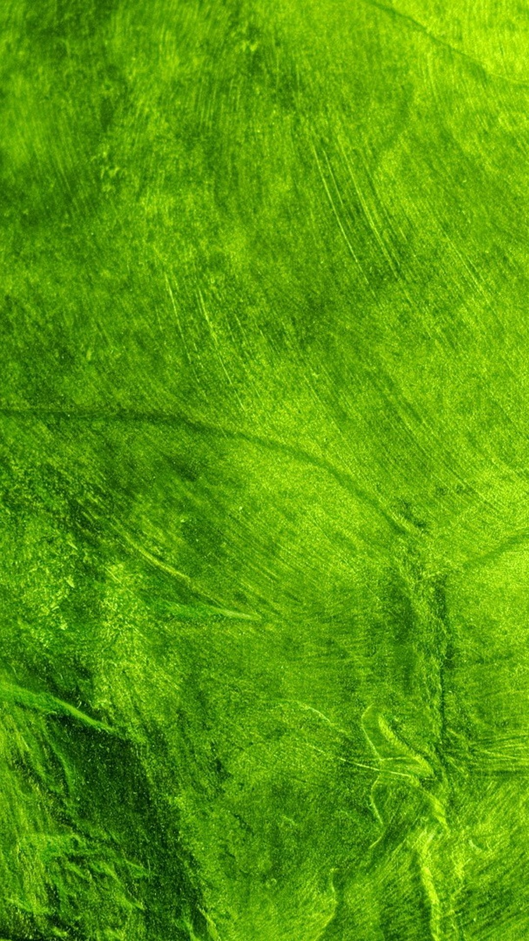 Wallpapers Phone Green with resolution 1080X1920 pixel. You can make this wallpaper for your Android backgrounds, Tablet, Smartphones Screensavers and Mobile Phone Lock Screen