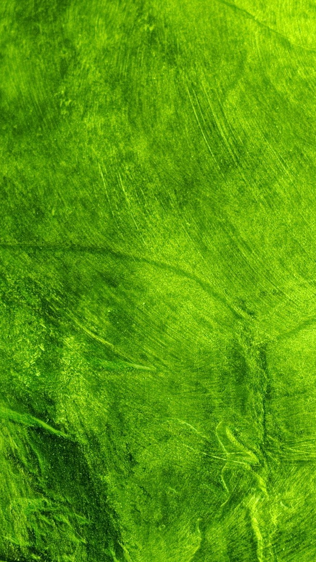 Wallpapers Phone Green - 2021 Android Wallpapers