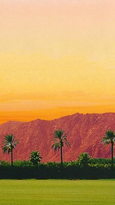 Coachella 2019 Wallpaper For Android With high-resolution 1080X1920 pixel. You can use this wallpaper for your Android backgrounds, Tablet, Samsung Screensavers, Mobile Phone Lock Screen and another Smartphones device