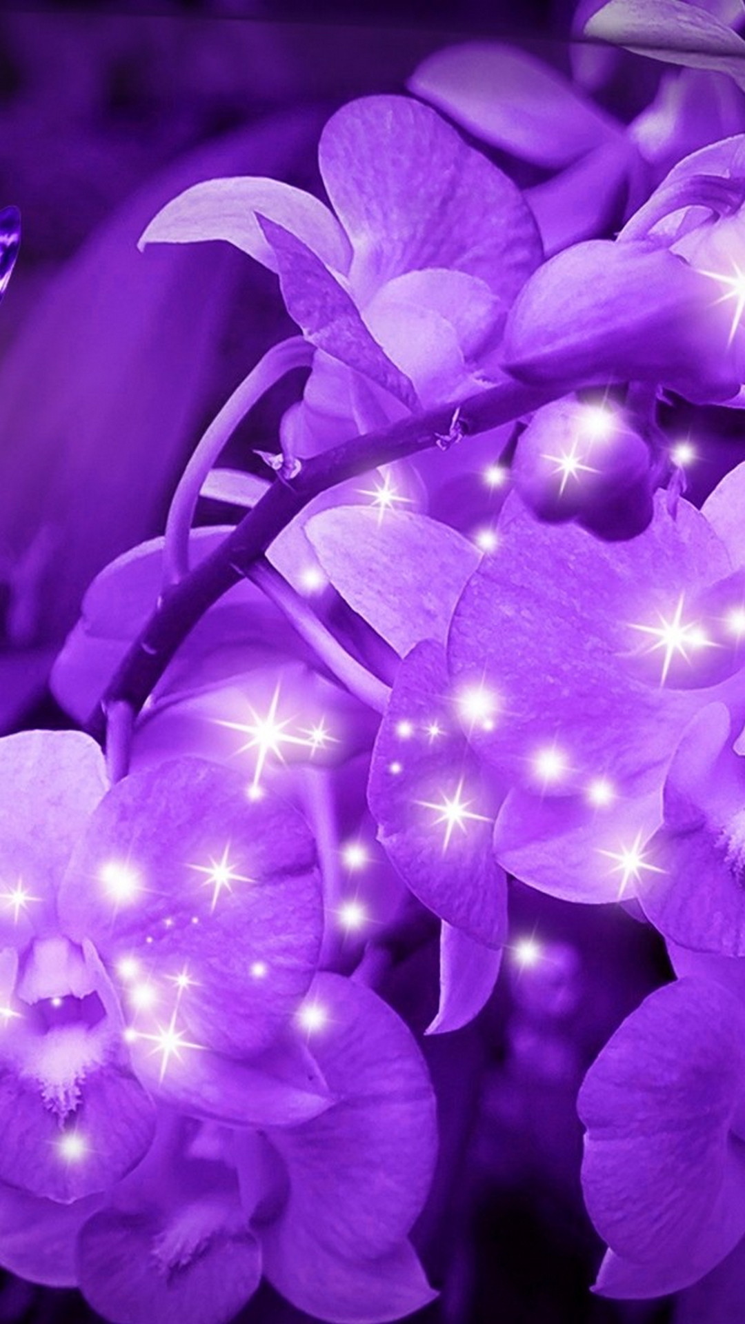 Android Wallpaper Flowers Purple With high-resolution 1080X1920 pixel. You can use this wallpaper for your Android backgrounds, Tablet, Samsung Screensavers, Mobile Phone Lock Screen and another Smartphones device