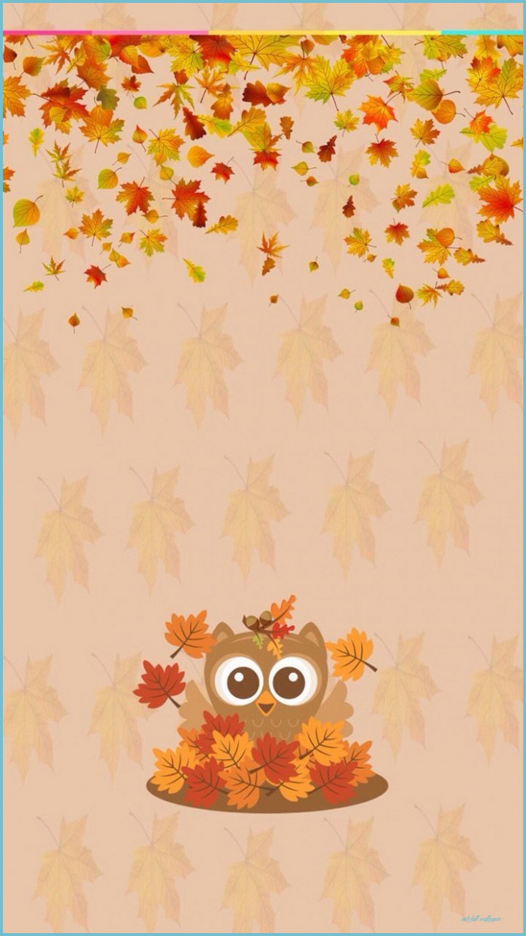 Wallpaper Cute Fall Android with high-resolution 1080x1920 pixel. You can use this wallpaper for your Android backgrounds, Tablet, Samsung Screensavers, Mobile Phone Lock Screen and another Smartphones device